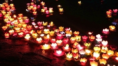 Hộp 100 nến bơ xinxinhong