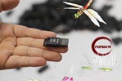 Đầu đọc thẻ nhớ Micro SD