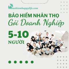 BHNT Doanh Nghiệp Gói 5-10 người