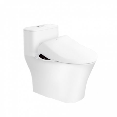 Bồn Cầu American WP-1880PR