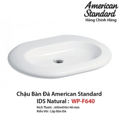 Chậu Lavabo WP-F640