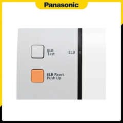 Máy nước nóng gián tiếp Panasonic DH-20HBMVW