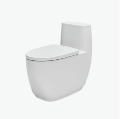 Bồn Cầu 1 Khối Inax AC-1052VN Nắp Êm Aqua Ceramic