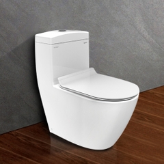 Bồn Cầu 1 Khối Viglacera Platinum P.11.350