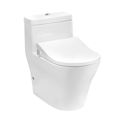 Bồn Cầu 1 Khối Kèm Nắp Rửa Êm  Toto  CW166RB-TC384CVK
