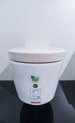 Bàn cầu treo tường SC198817(F)