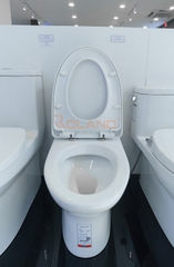 Bàn cầu 1 khối nắp đóng êm Micc C1053