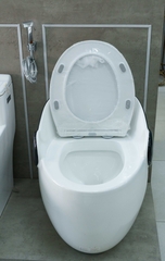Bồn Cầu Liền Khối Roland 136