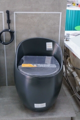 Bồn Cầu 1 Khối Roland X136