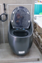 Bồn Cầu 1 Khối Roland X136