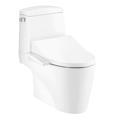 Bồn cầu 2 khối nắp điện tử COTTO C13527(CV3) - Riviera