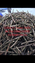 Củi Baget Cao Su