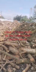 Củi Đòn Cao Su