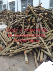 Củi Đòn Cao Su