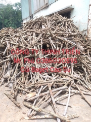 Củi Baget Cao Su