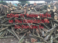 Củi Đòn Cao Su