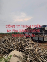 Củi Đòn Cao Su