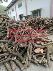 Củi Đòn Cao Su