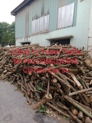 Củi Đòn Cao Su