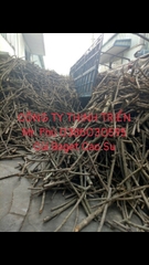 Củi Baget Cao Su