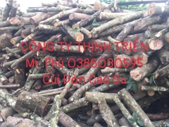 Củi Đòn Cao Su