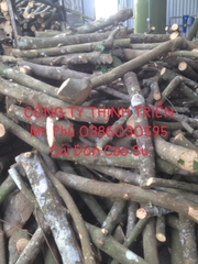 Củi Đòn Cao Su