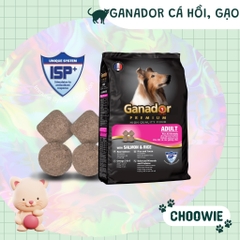 Hạt Ganador dành 400 gr