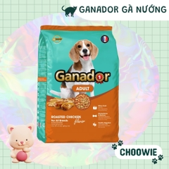 Hạt Ganador dành 400 gr