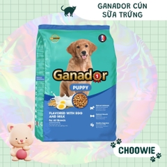 Hạt Ganador dành 400 gr