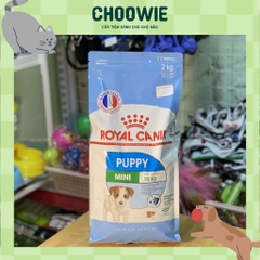 Hạt Royal Canin Chó Mini puppy