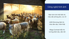 Tivi LED Samsung 55TU8100 Smart 4k UHD