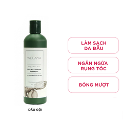 Weilaiya Dầu gội Ginger Shampoo