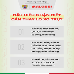 Lò xo trụ 10% thép hợp kim Malossi dành cho Honda 110 cho xe Air Blade/Vision/Lead/Click