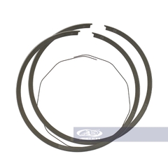 Bạc 59ly COS 6 (bông mai) (RGV) - RGV120-0021