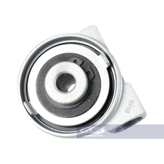 Nhông đồng hồ RGV (TR)-RGV120-0302