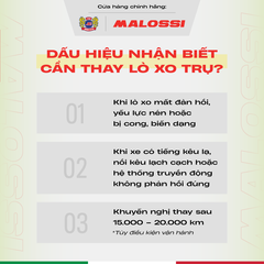 Lò xo trụ 20% thép hợp kim Malossi dành cho Honda 110 cho xe Air Blade/Vision/Lead/Click
