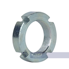 Tán cổ (RGV) - RGV120-0467