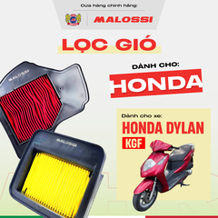Lọc gió dầu xe máy Malossi cho xe Dylan lọc bụi vượt trội chuẩn zin.