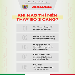 Bố 3 càng hợp kim kẽm nguyên chất Malossi phần mặt bố vàng