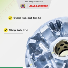 Combo chén bi cánh quạt bạc thau dầu graphite Malossi tem màu đỏ dành cho Honda