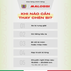 Chén Bi Malossi (A380 - Bạc thau dầu)