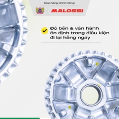 Chén bi Malossi ADC12 - dành cho dòng xe Honda