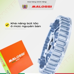 Chén bi Malossi ADC12 - dành cho dòng xe Honda