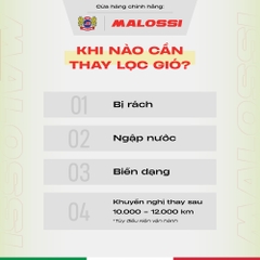 Lọc gió dầu cao cấp Malossi cho Honda