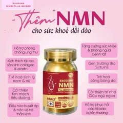 Viên Uống NMN Exosome 40500 Plus Jeil Royal – Tái Tạo Tế Bào Gốc, Trẻ Hóa, Mờ Nám, Chống Lão Hóa