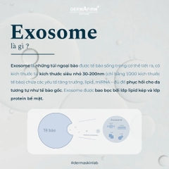 Viên Uống NMN Exosome 40500 Plus Jeil Royal – Tái Tạo Tế Bào Gốc, Trẻ Hóa, Mờ Nám, Chống Lão Hóa