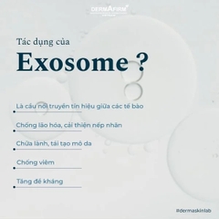 Viên Uống NMN Exosome 40500 Plus Jeil Royal – Tái Tạo Tế Bào Gốc, Trẻ Hóa, Mờ Nám, Chống Lão Hóa