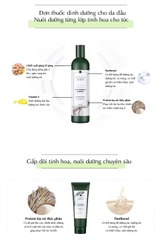 Cặp dầu gội xả gừng trắng kích mọc tóc Weilaiya