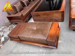 Sofa Đối và Kệ Tivi Óc Chó(Hà Nội)