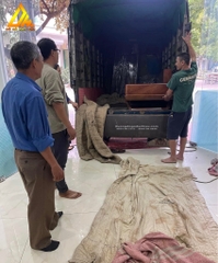 Sofa Zito góc liền hương đá